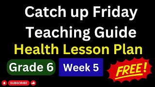 Catchup Friday Health Lesson Plan [upl. by Naivatco]