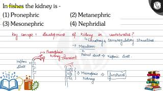 In fishes the kidney is  1 Pronephric 2 Metanephric 3 Mesonephric [upl. by Doran]