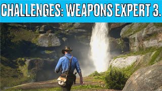 Red Dead Redemption II Challenges Weapons Expert 3 [upl. by Rendrag]