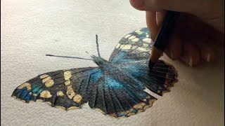 Werken met ecoline paintingvideo artoftheday liquidwatercolours ecoline butterflydrawing [upl. by Elocn98]