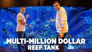 WWC Visits The Largest Private Reef Tank in America [upl. by Chlo]