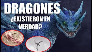 Los Dragones ¿Alguna Vez Existieron  Mini Documental  Historia y Tipos de Dragones [upl. by Isewk227]