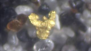 gold lamproite saprolite [upl. by Mckeon]