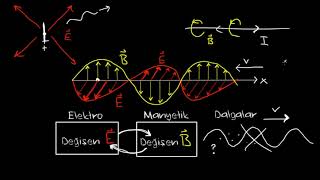 Elektromanyetik Dalgalar ve Elektromanyetik Spektrum Fen BilimleriFizik [upl. by Tallbott421]