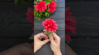 Crepe Paper Flowers An Easy Tutorial for Stunning Results shorts [upl. by Eceerahs]