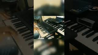 BOJO LORO creative prodikeys PC midi USB feat OMBsolo organ [upl. by Yesllek691]