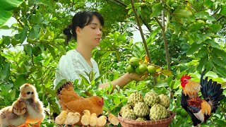 5 Experience real life in rural Vietnam Chicken farm and fruit garden [upl. by Oren]