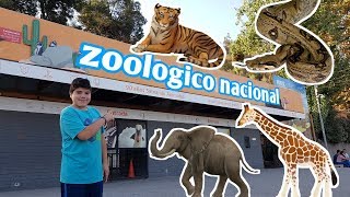 Visitando el Zoologico Metropolitano santiago de chile [upl. by Lulu]