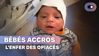 Mères addicts et bébés accros à la naissance [upl. by Lambard]