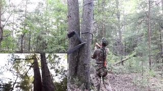 How to hang a hang on style treestand safely Part 2  The Stand  HSS Lifeline [upl. by Adnanref]