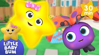 Big And Small Song  Learning songs  Little Baby Bum [upl. by Ecital]