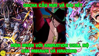 One Piece Dream Mãn Nhãn Với Animation Skill Nộ Của Mihawk Và Hawkins GACHA Cầu May Và Cái Kết [upl. by Arza302]