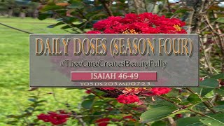 Daily Doses Season Four Ep 205  Bible In One Year  WEB Translation [upl. by Edlyn261]