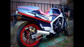 2012 Suzuki RG500 Gamma Walter Wolf in Tokyo Japanwmv [upl. by Yecad]