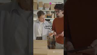 Golgi Apparatus Know About It [upl. by Ynnaffit202]