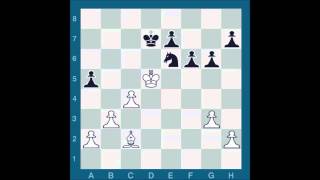 ChessMaster GME Waitzkin Vs Sarwer J [upl. by Enayd]