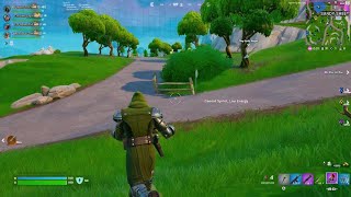 The Rare MK7 In Fortnite Reload [upl. by Sianna]