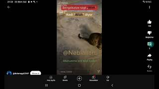 Allah diyen kedi [upl. by Notlaw]