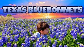 TEXAS BLUEBONNET FIELDS FOREVER 2018 [upl. by Atiuqa]