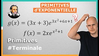 Calculer les PRIMITIVES dExponentielle  Exercice Corrigé  Terminale [upl. by Nostaw]