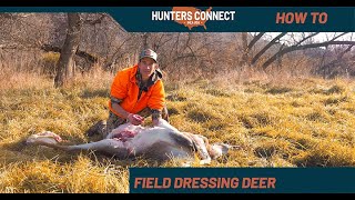 How to Field Dress Deer [upl. by Newton]