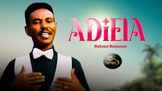 Mahmud Mahmmed  Adiela  Eritran music  official Audio [upl. by Camden]