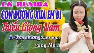 Karaoke Lk Con Đường Xưa Em Đi Tone Nam Thiếu Giọng Nam Hát Song Ca Cùng Thanh Ngân [upl. by Llegna]