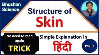 Structure of Skin Dermis and Hypodermis  Integumentary System Trick in Hindi  Bhushan Science [upl. by Avon]