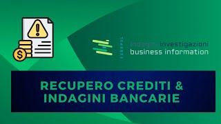 🔍💸 RECUPERO CREDITI amp INDAGINI BANCARIE 💼🔎 [upl. by Adeuga]