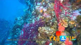 Beauties of the Croatian Underwater  Kornati National Park [upl. by Leerzej158]