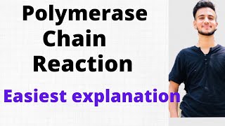 Polymerase Chain Reaction  PCR in Microbiology [upl. by Labotsirhc894]