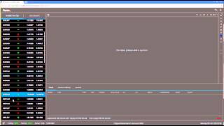 Fortex WebTrader Demo [upl. by Deragon]