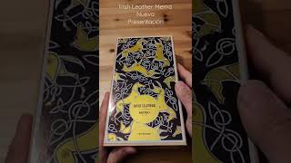 🍀Irish Leather de Memo  Un perfume increíblemente elegante [upl. by Ahsiema]