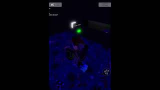 How to find Mr Brookhaven in Brookhaven shorts brookhaven roblox [upl. by Amend]