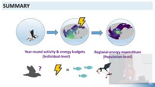 Seabird Group 2024 Conference  University of Coimbra 3 Sept 2024  Session 1 [upl. by Domenech]