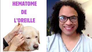 Un Produit naturel contre lhématome de loreille [upl. by Chapen606]