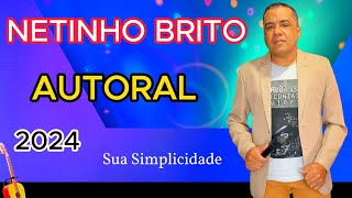 Sua Simplicidade Netinho Brito AUTORAL 2024 [upl. by Campman]