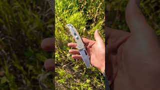 Demko ad205 viralvideo edcknife demkoknives nature shortsfeed Gridroadgarage [upl. by Refotsirk113]