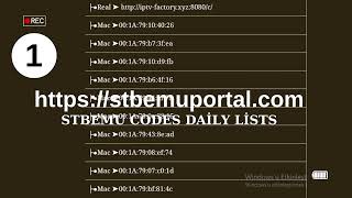 Stbemu Codes 2024 Daily Lists Update 30052024 [upl. by Yesdnyl950]