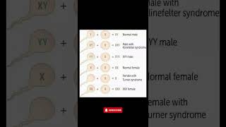 Understanding Chromosomal Disorders Klinefelter Turner Syndrome amp More Explained [upl. by Afrika]