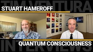 Stuart Hameroff  Quantum Consciousness [upl. by Anni]