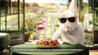 Nouvelle publicité Cassegrain lapin aux lunettes noires [upl. by Nosmirc]