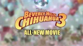 Beverly Hills Chihuahua 3  Clip 1  Wake Up HD [upl. by Nnasor]