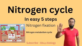 Nitrogen cycle in 5 simple steps  Nitrogen fixationnitrogen metabolismdigramatic explanation [upl. by Suirtemed]