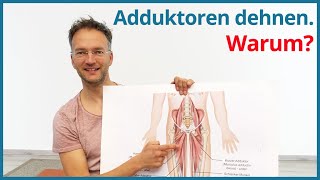 Adduktoren dehnen ✅ YogaÜbungen Beine inkl Yoga Anatomie [upl. by Anirtruc]