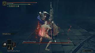 Elden Ring DLC  Rellana Twin Moon Knight Parry Kill No Hit [upl. by Ettelocin801]