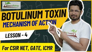 Botulinum toxin mechanism of action  Neurotoxin mode of action [upl. by Kopple]