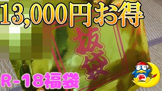 【大人の福袋】15000円分の中身が2000円で買えるR18の福袋開けたら中身があまりにも面白過ぎたwww【実写】 [upl. by Ajiam]