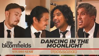 The Bloomfields  Dancing in the Moonlight Cover Toploader [upl. by Markus]