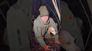 Tartufo bianco gigante in diretta [upl. by Hurlee]